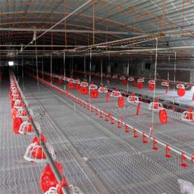 Broiler Feeding Line